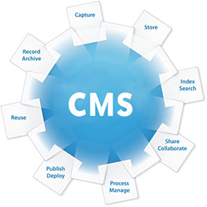 Custom CMS